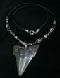 Megalodon Tooth Necklace #5327-1